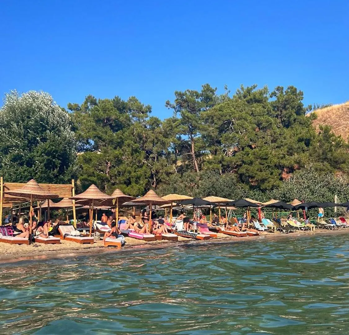 Vergia Coast Nea Kallikrateia